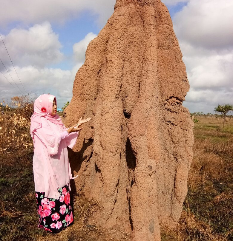 Giant Ant Nest景点图片