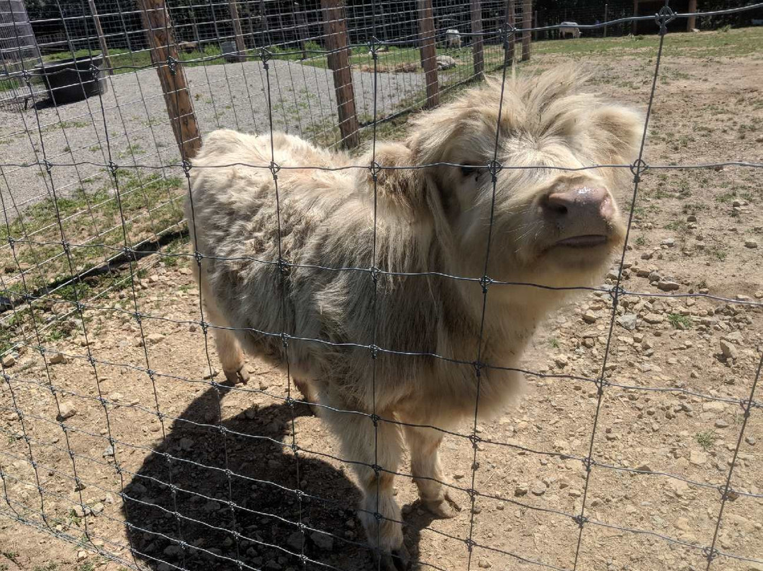 Critter Lane-Valles Mines必去景点