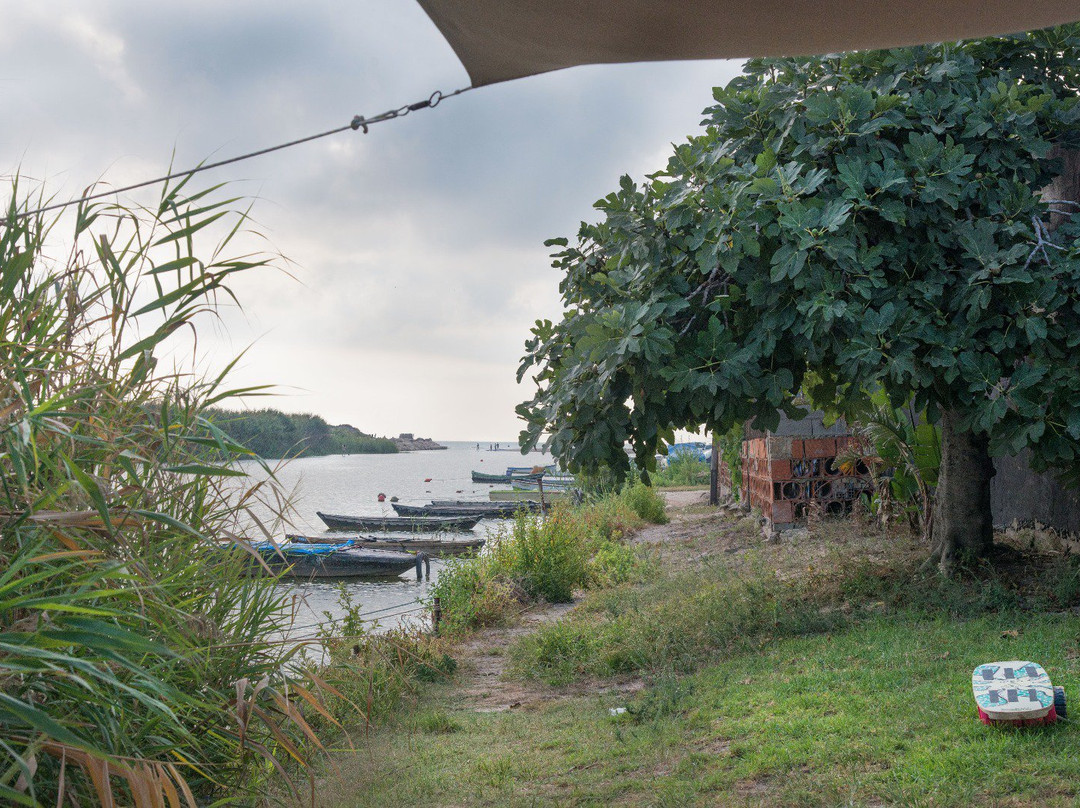 Supskull-巴伦西亚必去景点