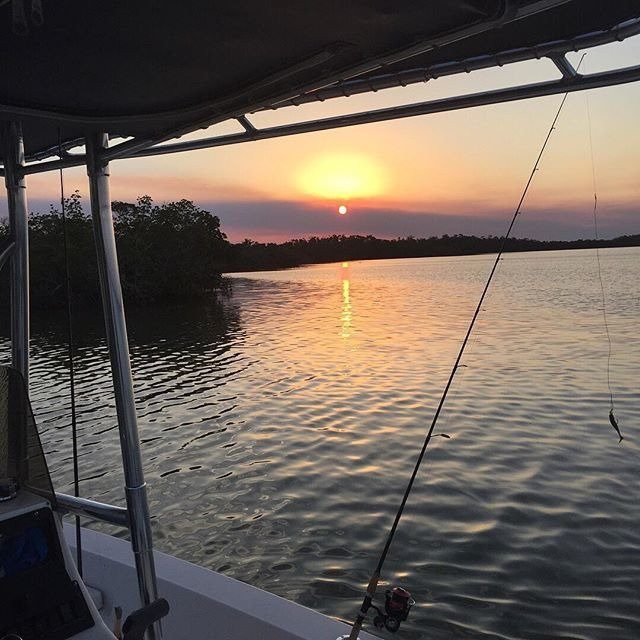 Waterboy Charters-大沼泽地必去景点