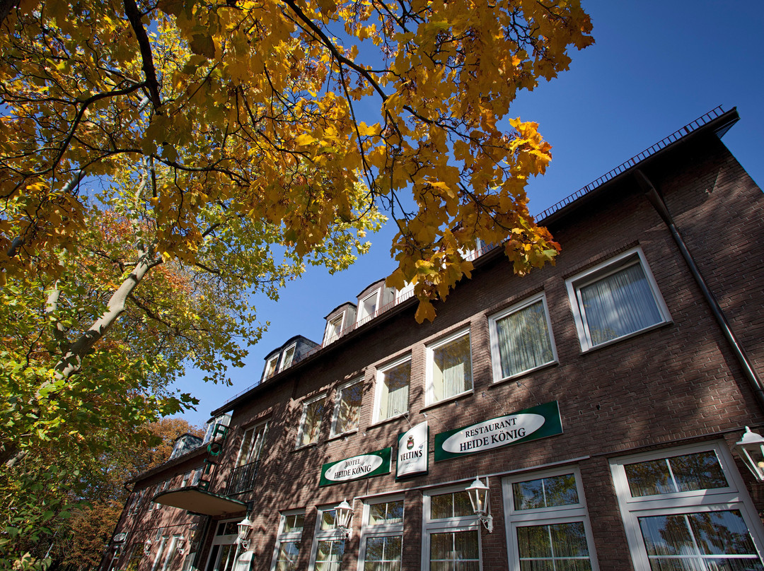 Heidekönig Hotel Celle主图