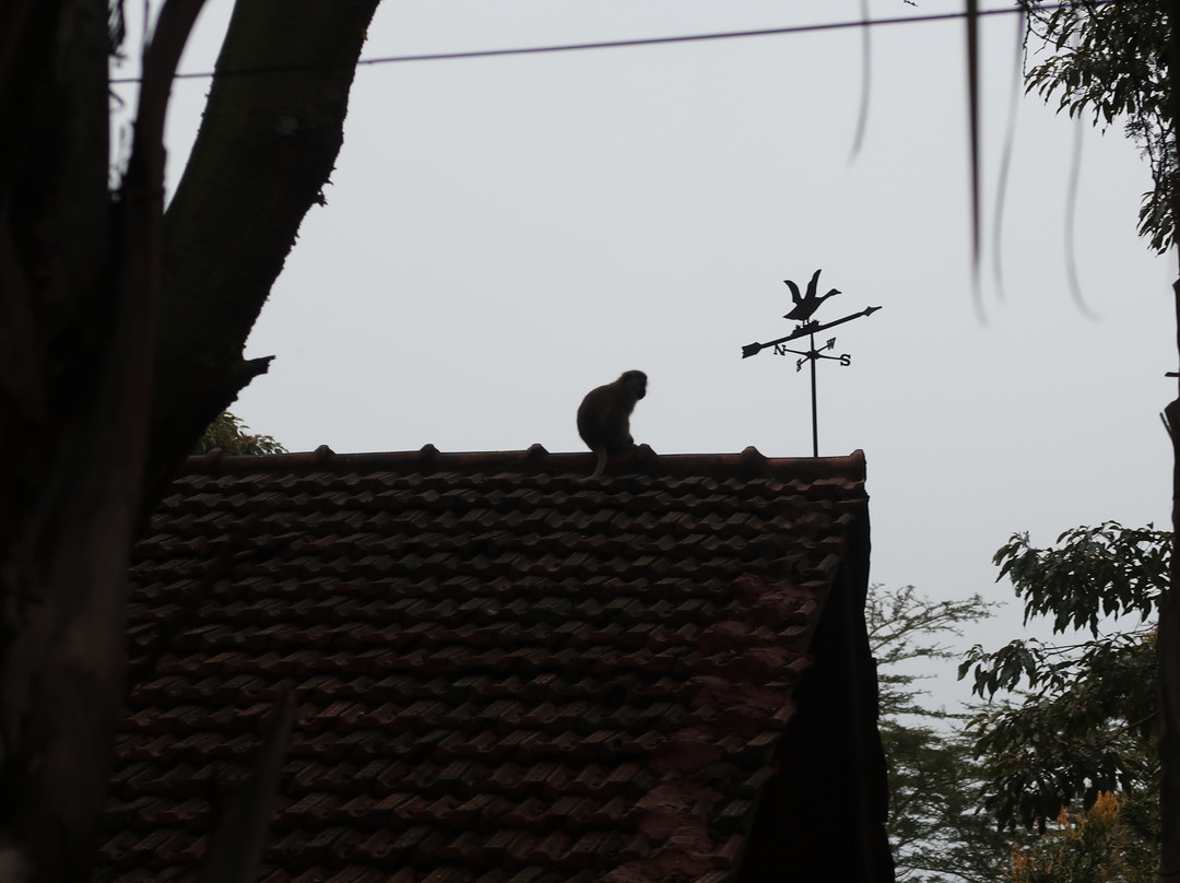 Macushla House主图