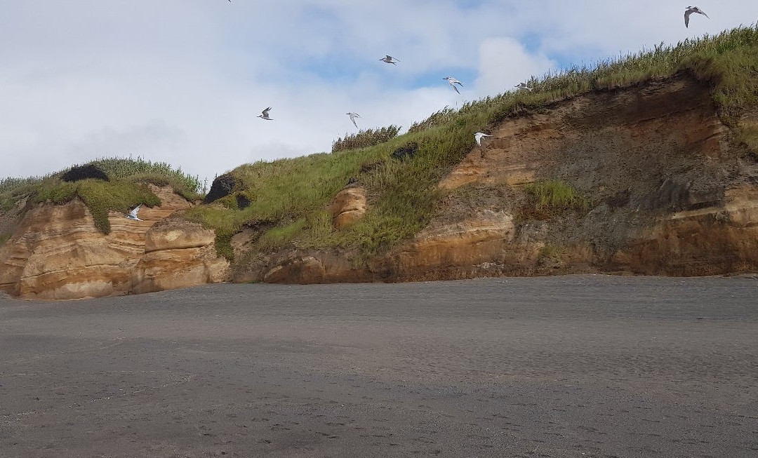 Praia do Areal de Santa Bárbara景点图片