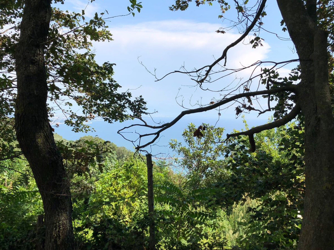 Rifugio Angelina主图