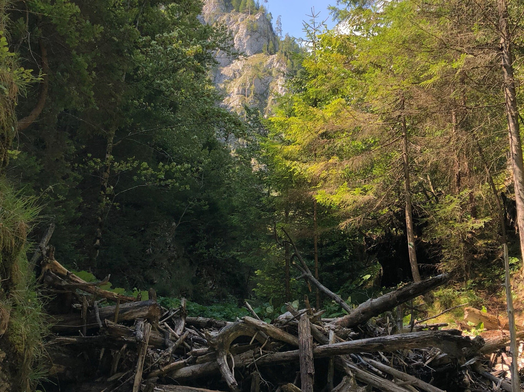 Ferrata HZS Kysel-Hrabusice必去景点