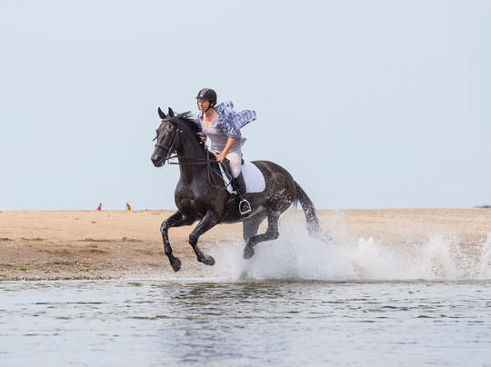 Cheston Farm Equestrian Centre-Wrangaton必去景点