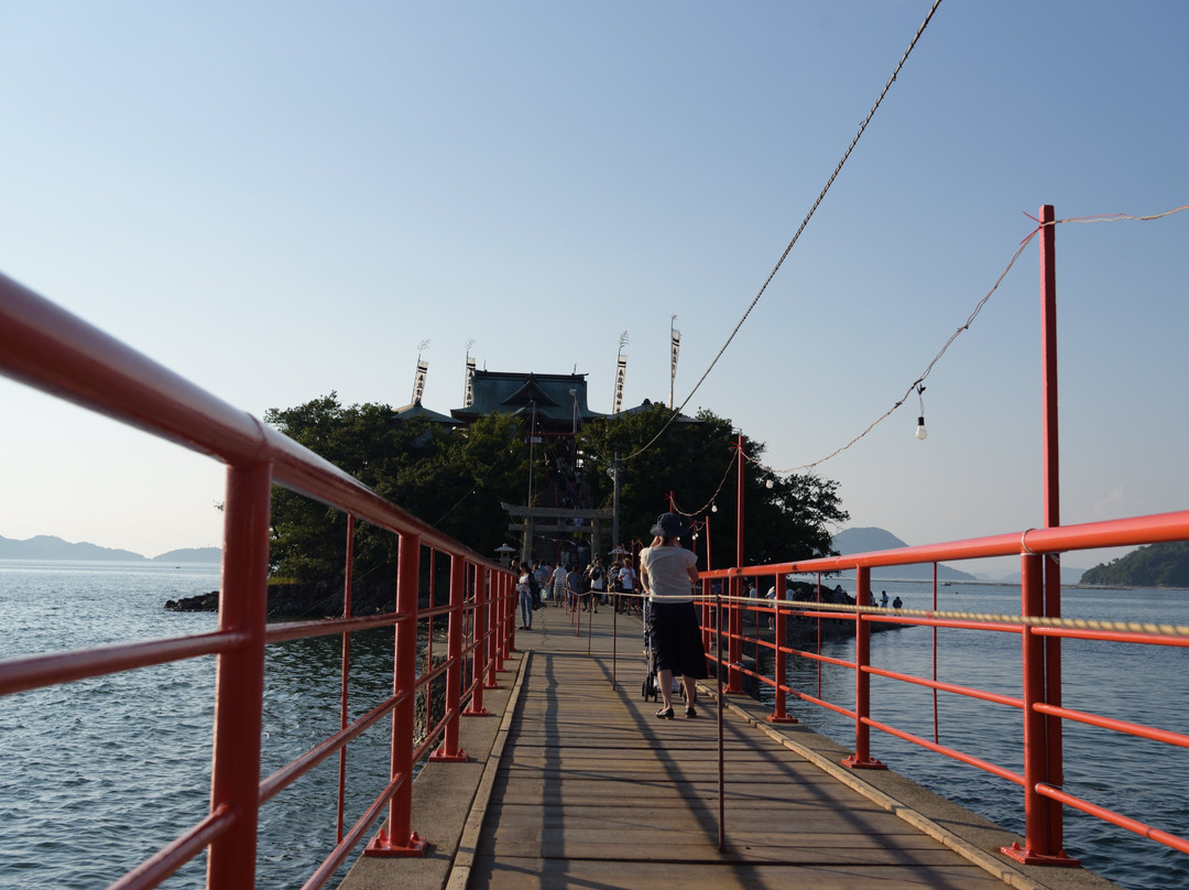 Tsushima Shrine景点图片