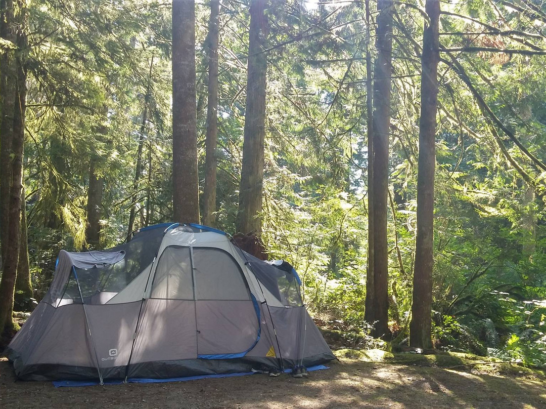 Saltery Bay Provincial Park-鲍威尔里弗必去景点