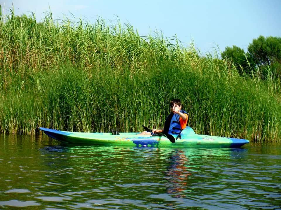 Bayou Adventure景点图片