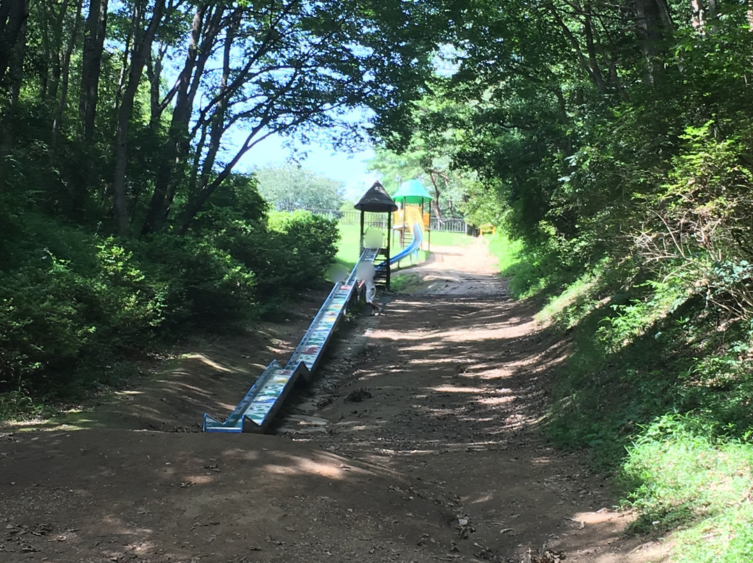 Mito City Forest Park-水户市必去景点