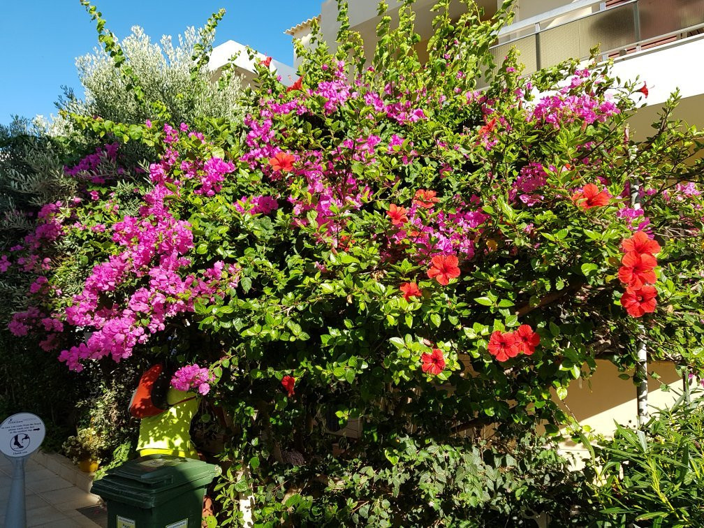 Hotel Poseidon主图