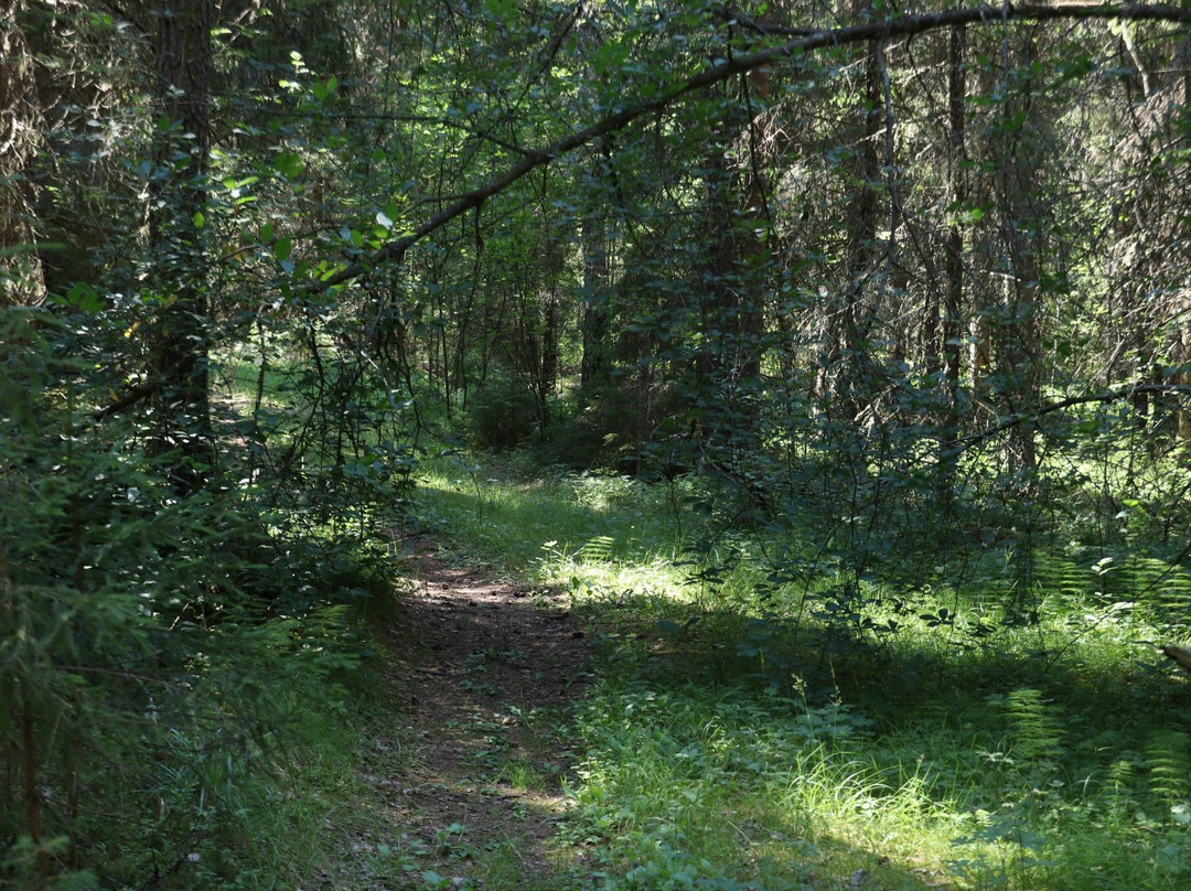 Paijanne-Ilves Trail-Padasjoki必去景点