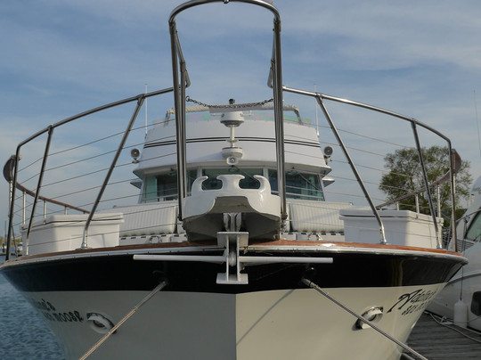 Adelines's Sea Moose-芝加哥必去景点