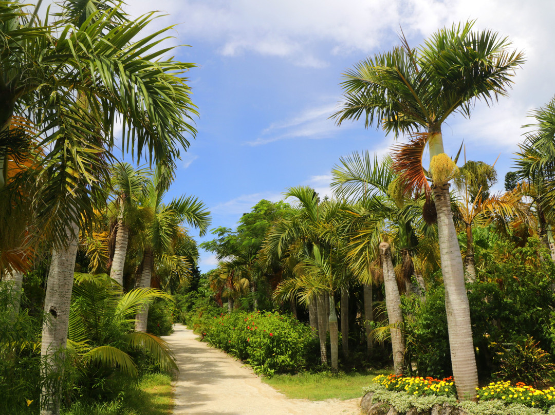Subtropical Plant Paradise Yubujima Island景点图片