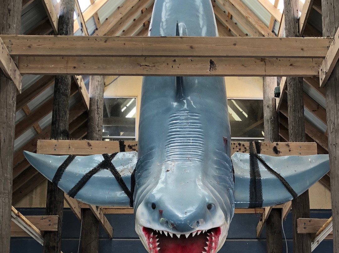 Bobz World-Los Fresnos必去景点