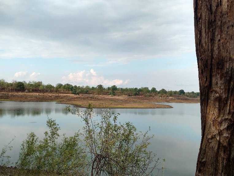 Dumna Nature Reserve景点图片