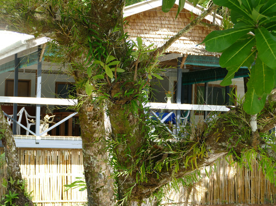 Evis Resort at Nggatirana Island主图