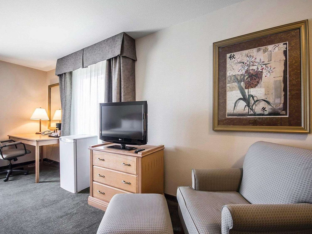 Comfort Inn & Suites主图