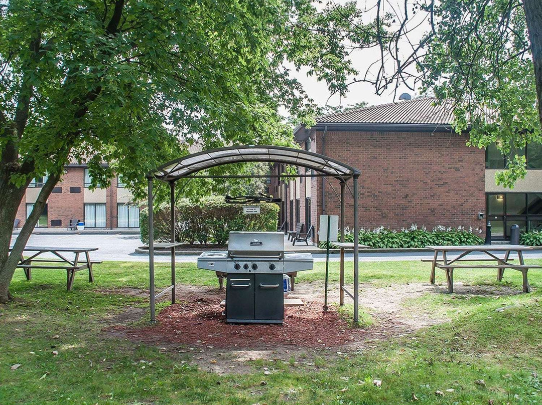 Comfort Inn Simcoe主图