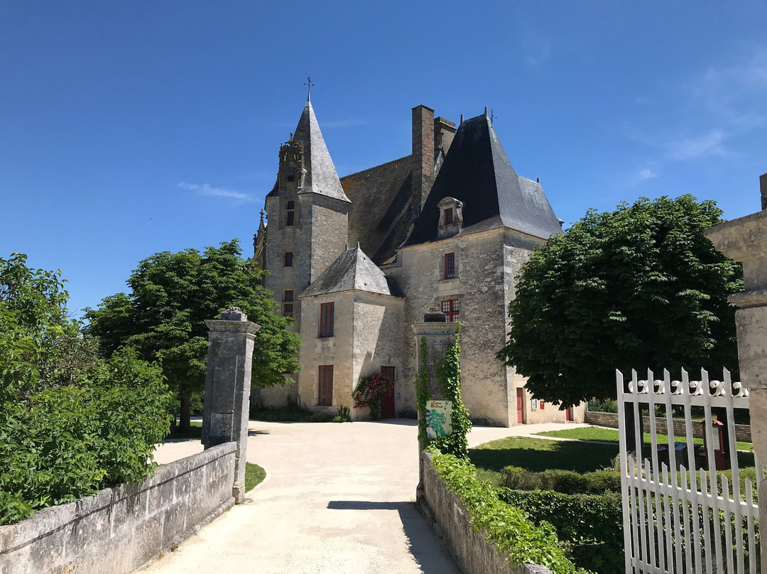 Chateau De Neuvicq-Le-Chateau景点图片