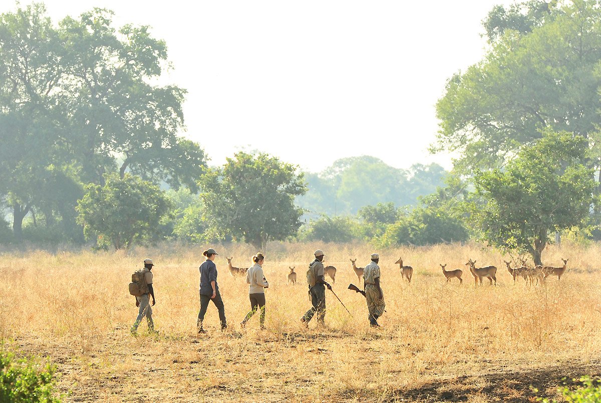 Lion Camp Safari Lodge-官方