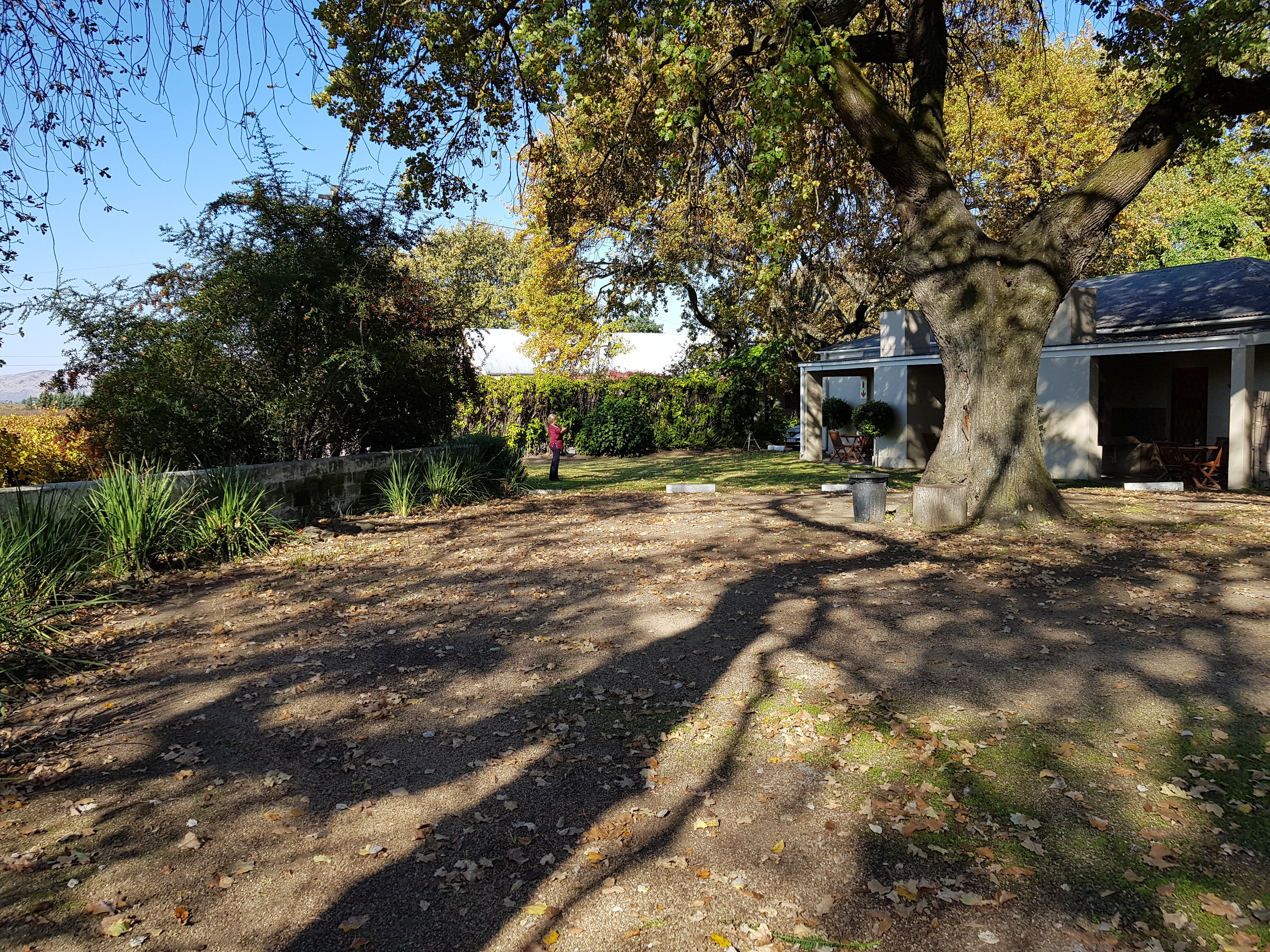 Die Eike Luxury farm Accommodation-餐饮