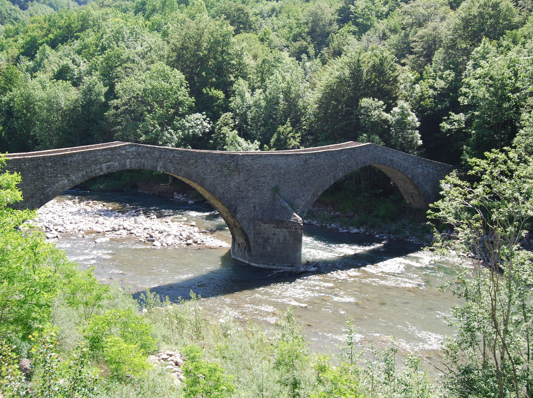 Ponte della Fola景点图片