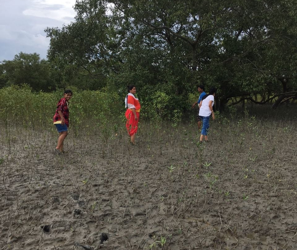 Sundarban Jungle Life景点图片
