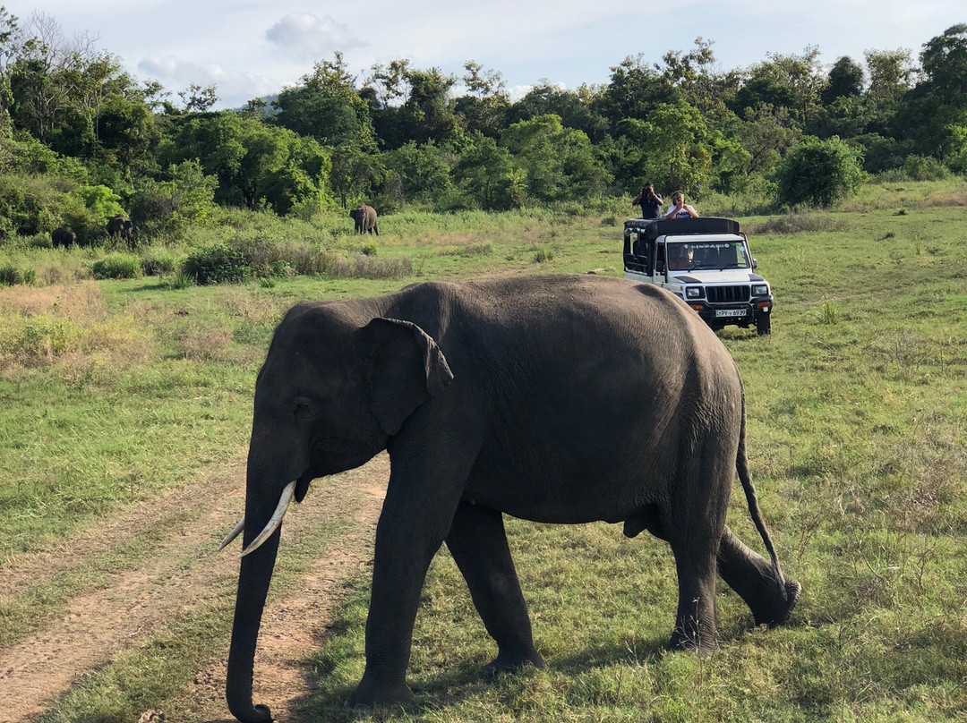 Sri Lanka Responsible Drivers-科伦坡必去景点