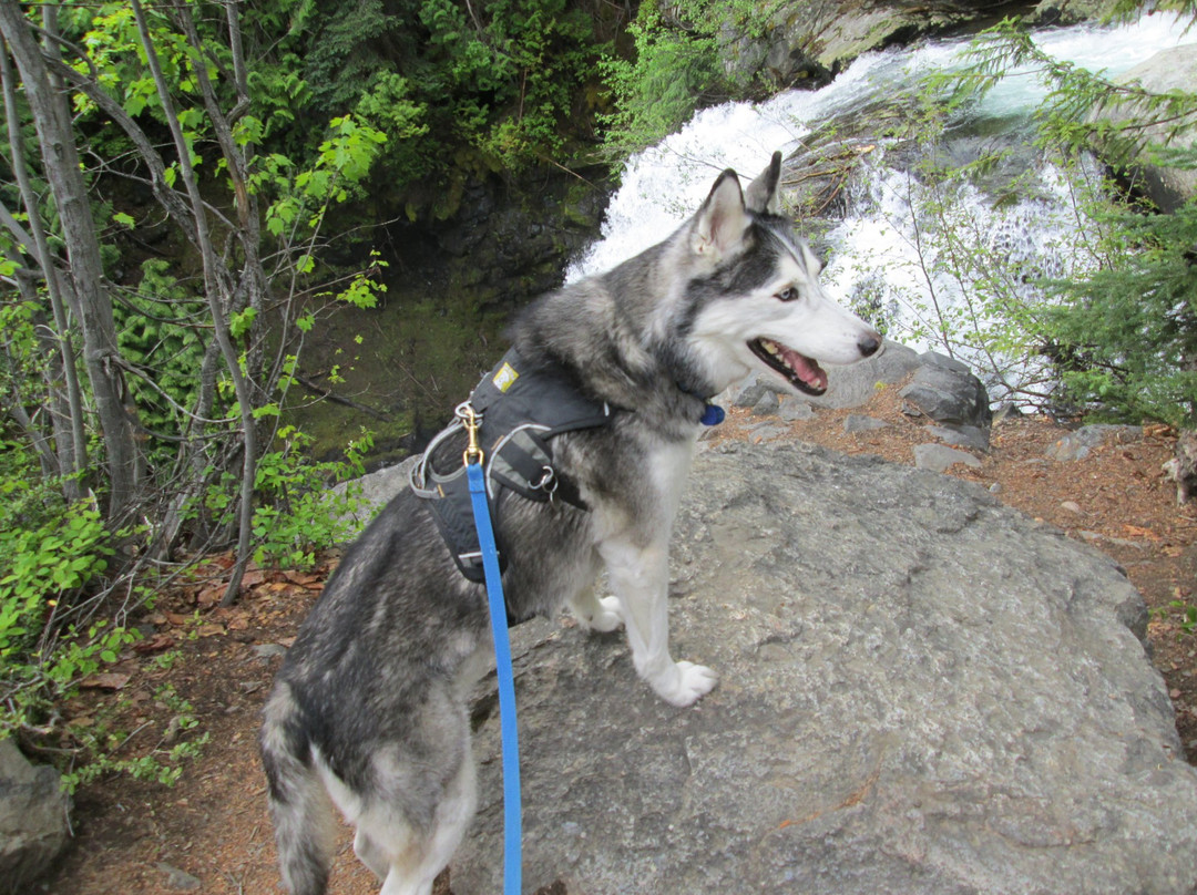Cedar Creek Falls-Mazama必去景点