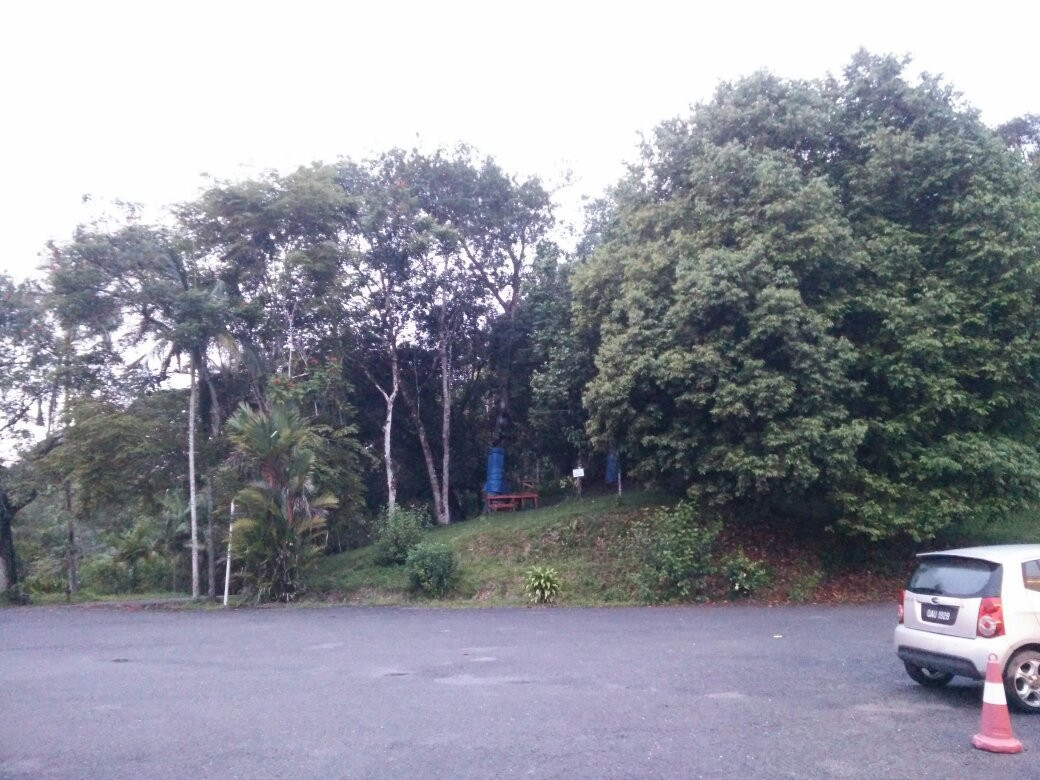 The Rave YMCA Camp-诗巫必去景点