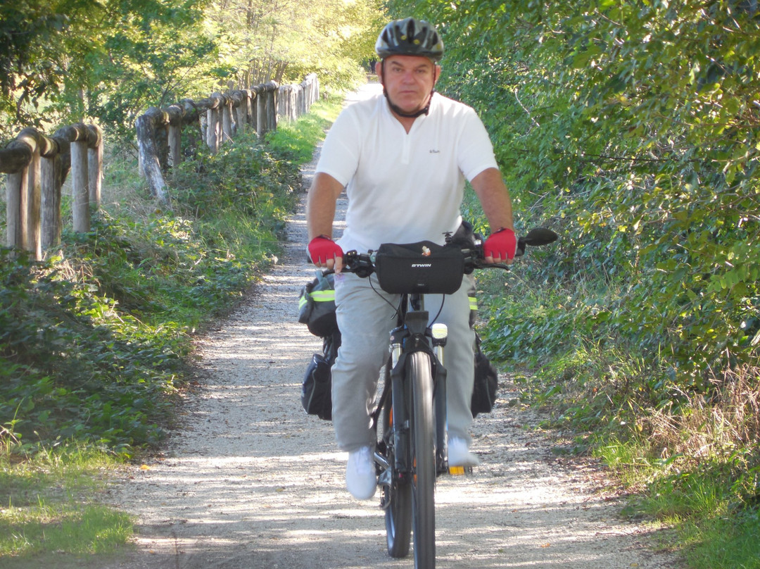 La Strada Ciclabile Treviso-Ostiglia-特雷维索必去景点