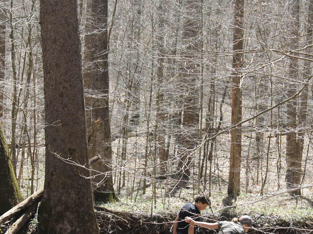 Yellowwood State Forest-纳什维尔必去景点