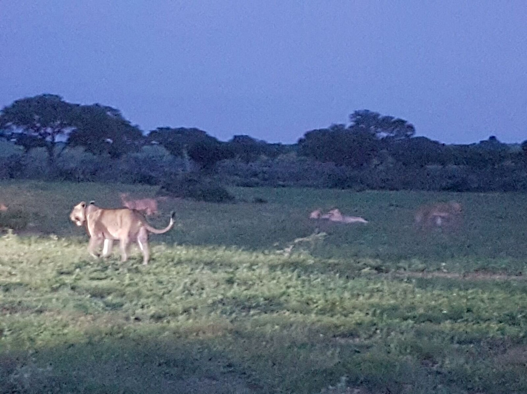 Muky Tours and Safaris-Mukono必去景点