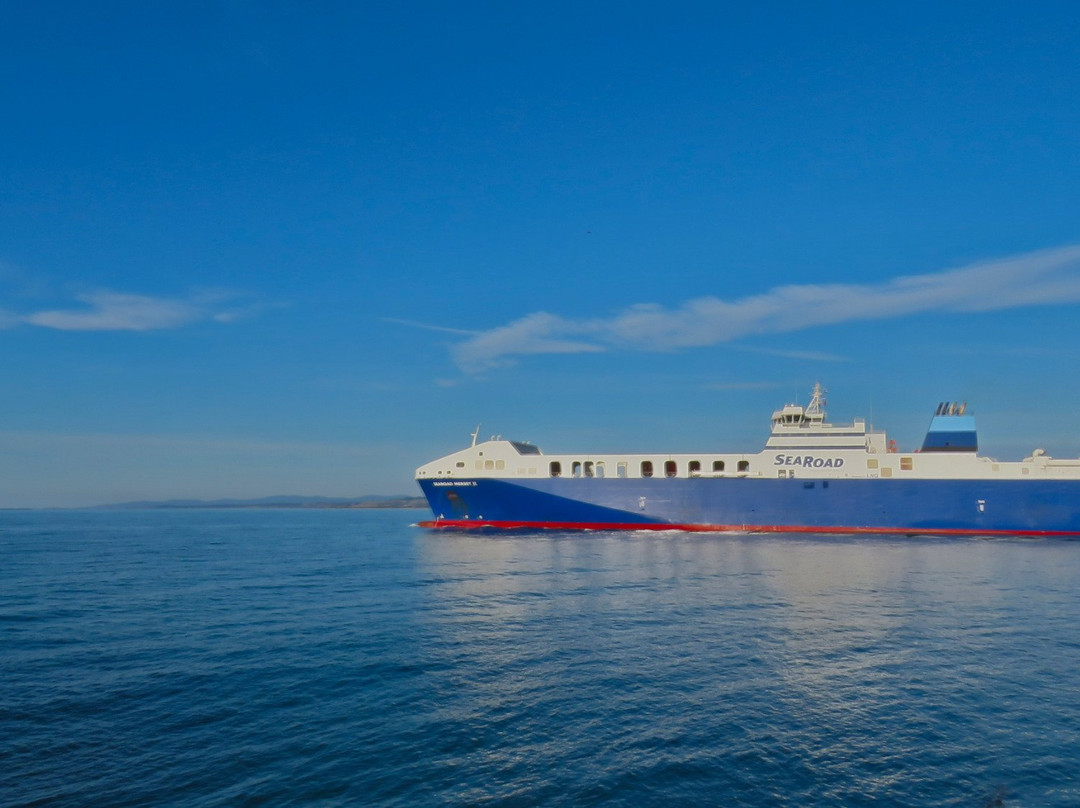 Bluff Park-Devonport必去景点