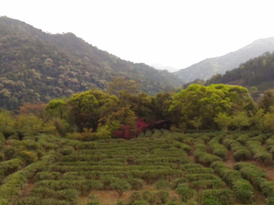 九鹏溪风景区-漳平市必去景点