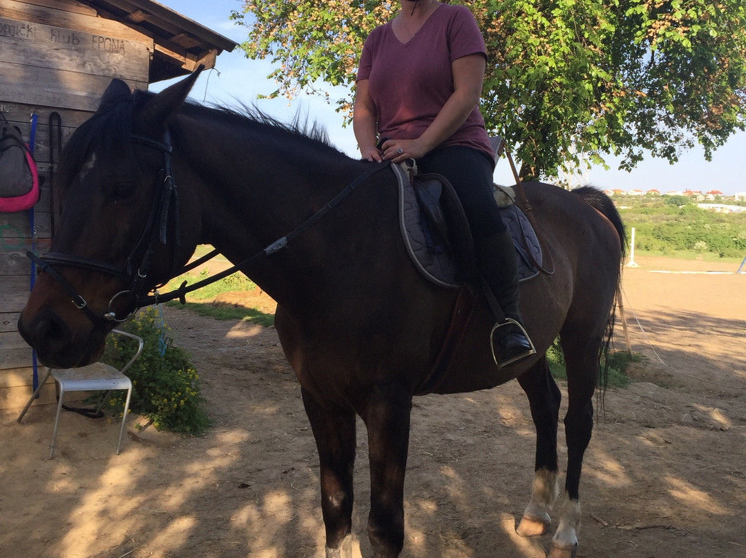 Horse Riding Zadar-扎达尔必去景点