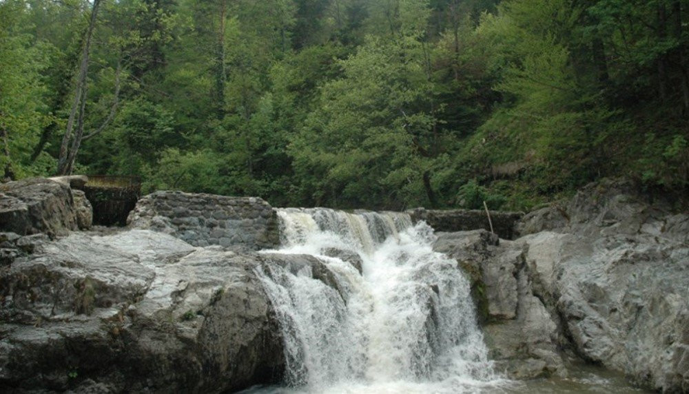 Info Centar Spomenika Prirode Tajan-Zavidovici必去景点
