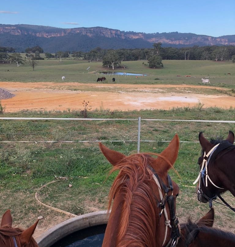 Centennial Glen Stables-布莱克希思必去景点
