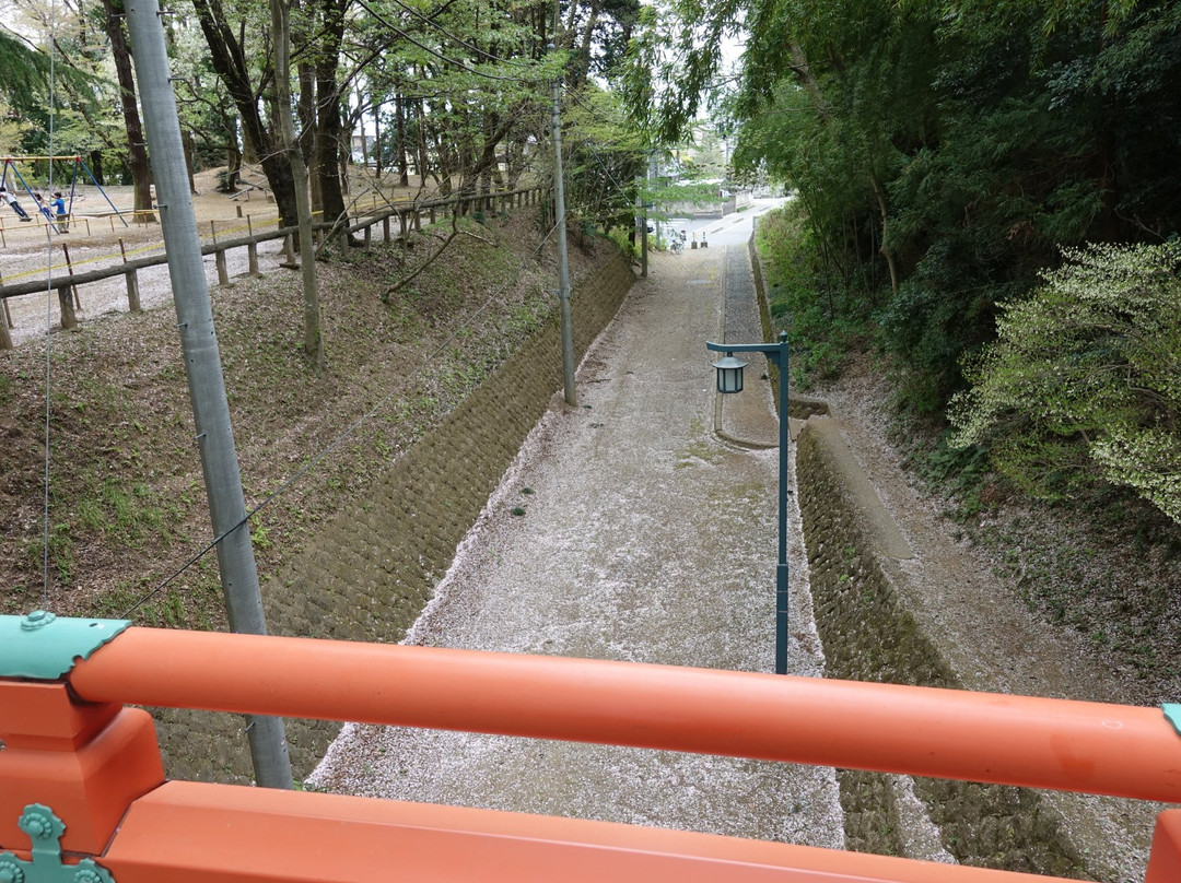 Shiroyama Park-小山市必去景点