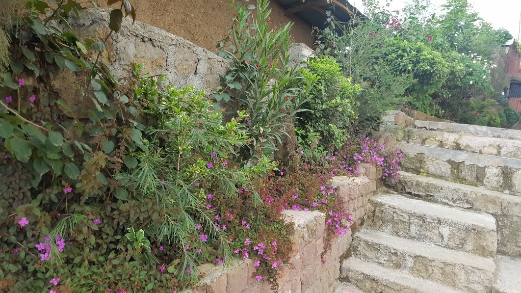 Red Rock Lalibela Hotel主图