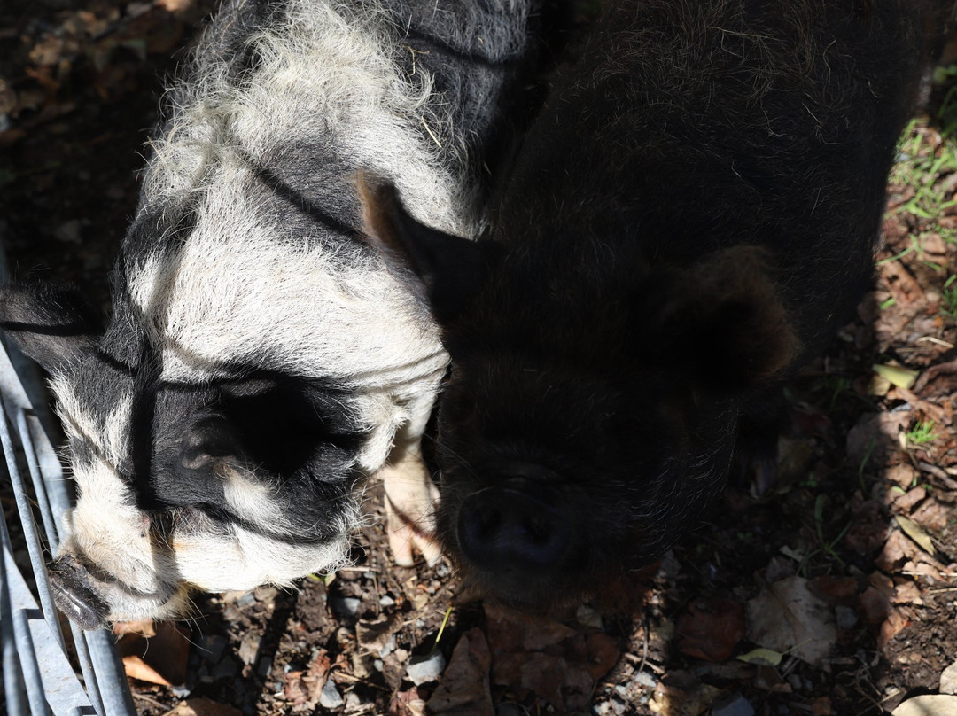 Bream Bay Lodge主图