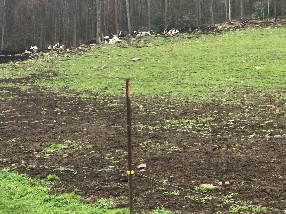 English Farmstead Cheese-Marion必去景点
