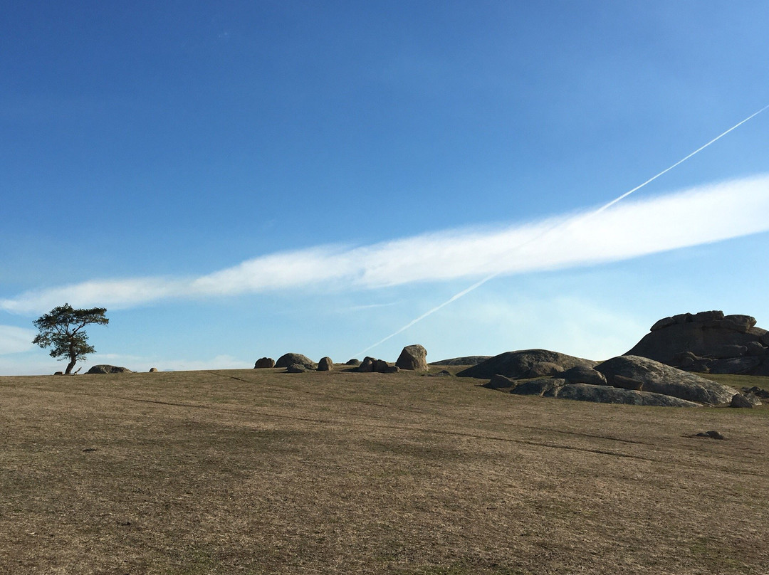 Batesford旅游景点-Dog Rocks