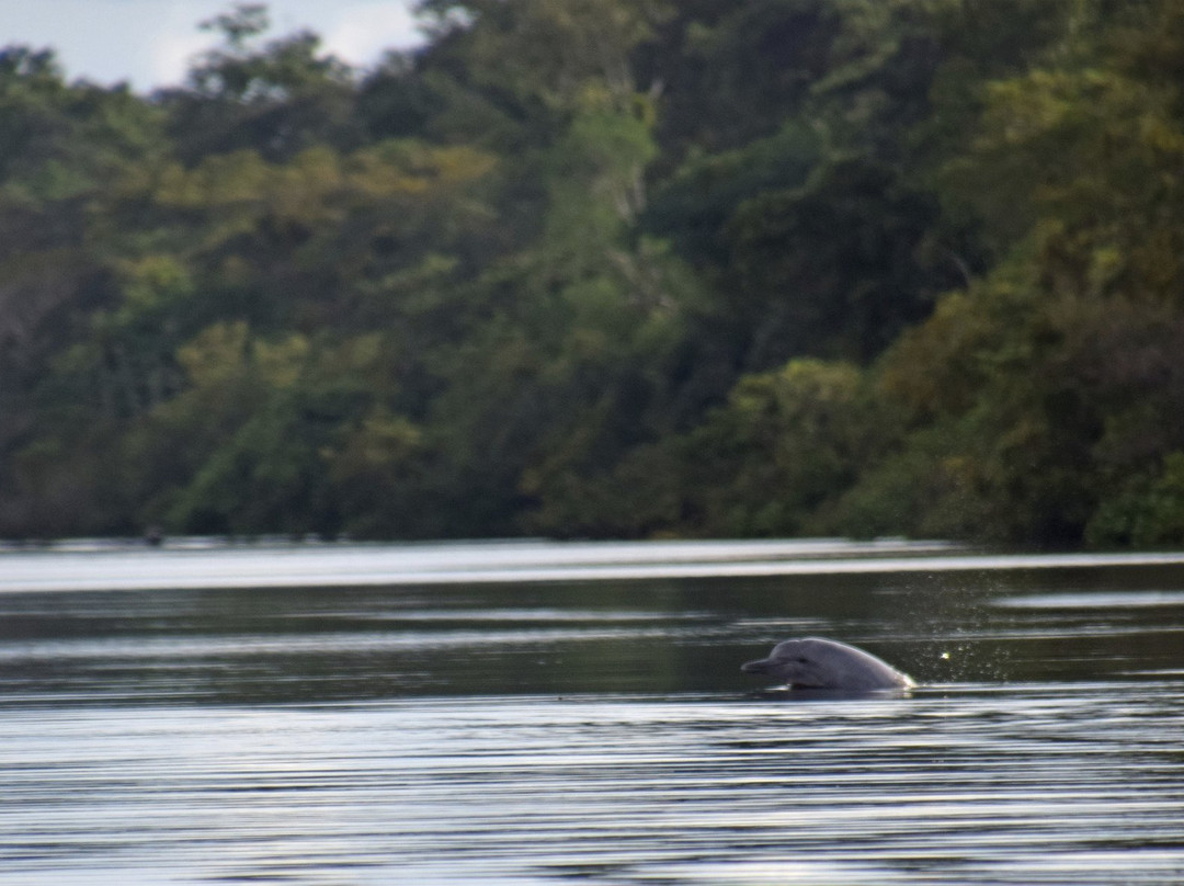 Lago Tarapoto景点图片
