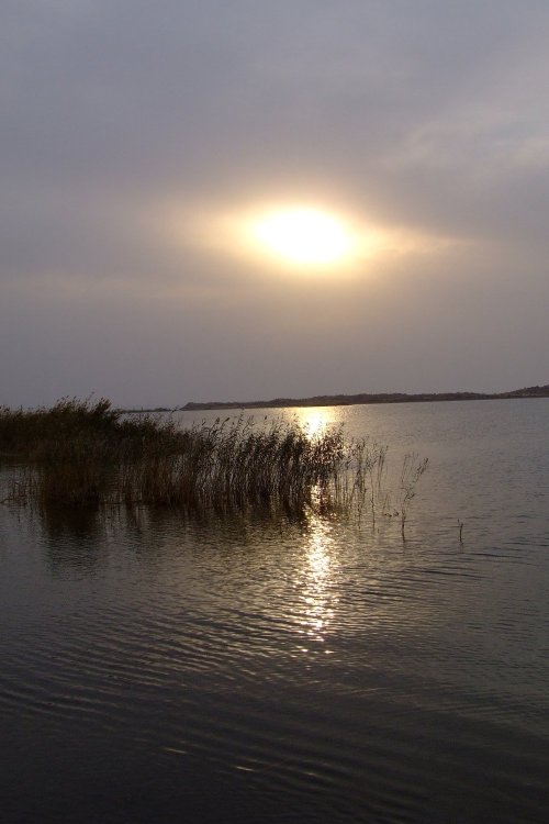 Guest House Ruslan-泳池