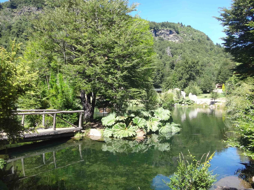 Malalcahuello Thermal Hotel & Spa主图