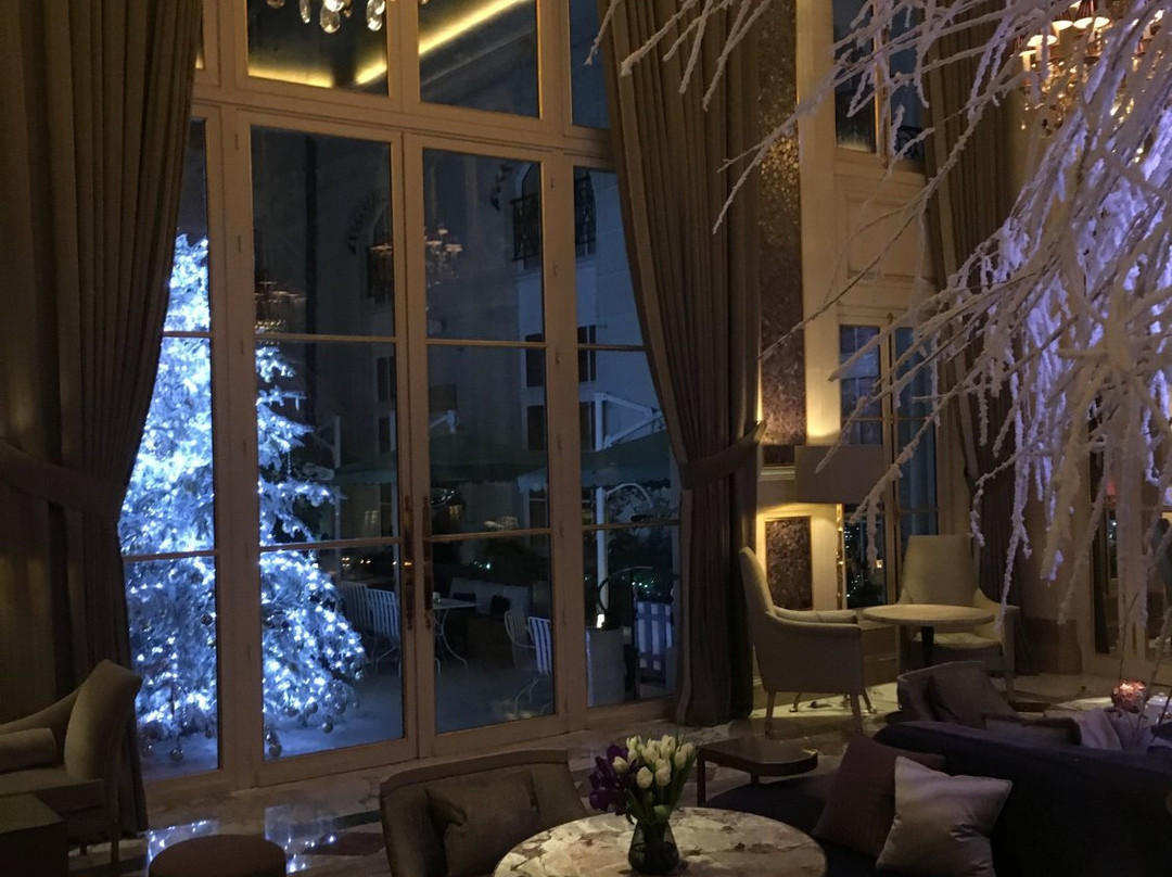 巴黎瑰丽酒店主图