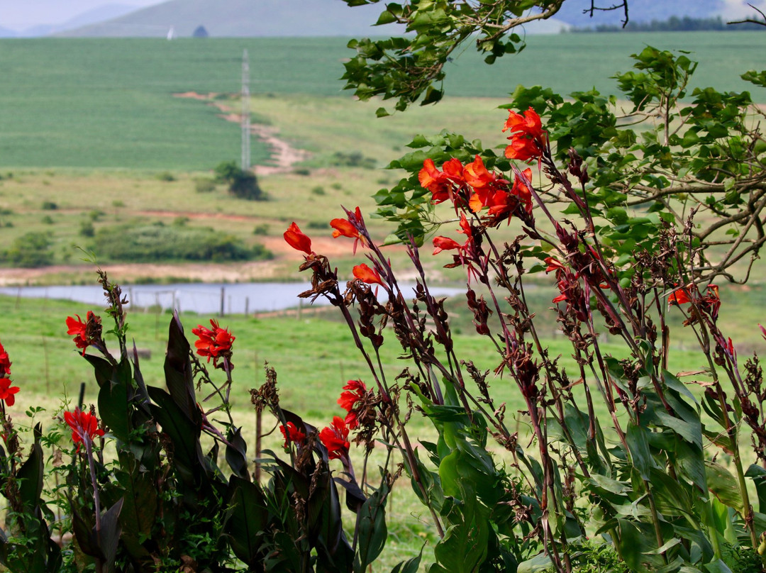 Dusk to Dawn Farm Guesthouse主图