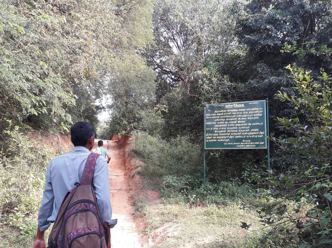 Kalakkadu Sanctuary景点图片